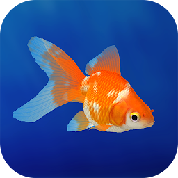 Icona del gioco Goldfish 3D